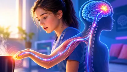 Illustration de la story « Du récepteur au cerveau »